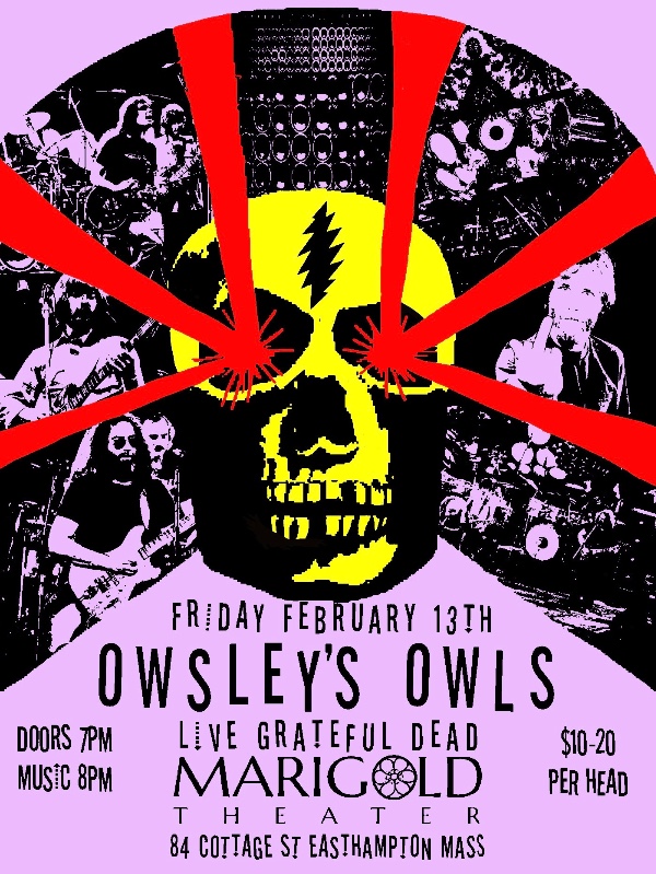 OwsleysOwls2026-02-13MarigoldTheaterEasthamptonMA (3).jpg